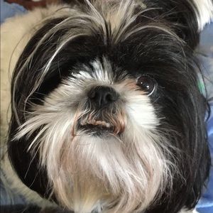 Meet your Posher, Allison